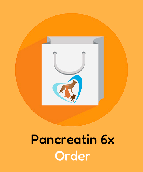 Pancreatin 6 Order image