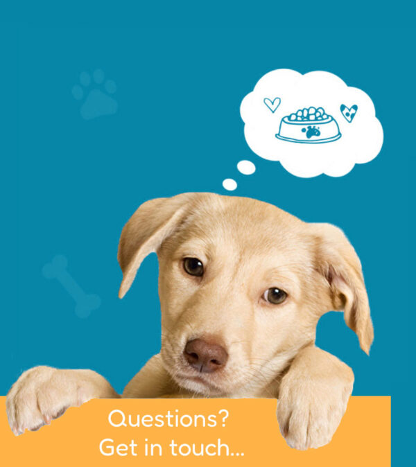 Enzyme Diane Digestive Enzyme Supplements for Pets with EPI